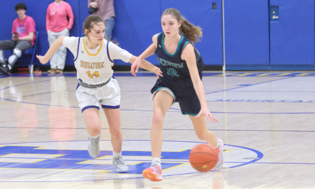 Bobcats show fight in loss to Housatonic