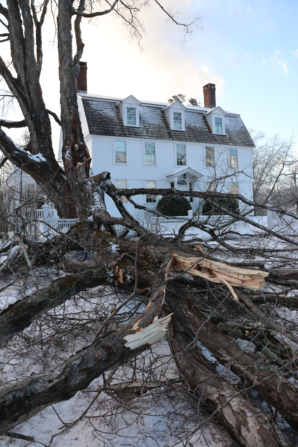 Ice storm downs trees, knocks out power | Litchfield.bz