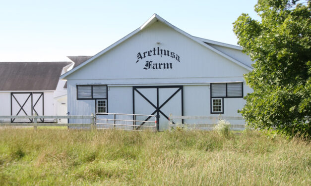 Arethusa, 4-H to partner in summer camp
