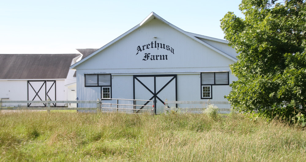 Arethusa, 4-H to partner in summer camp