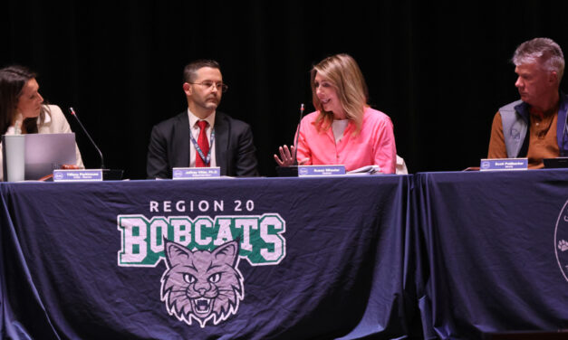 Referendum set on Region 20 borrowing