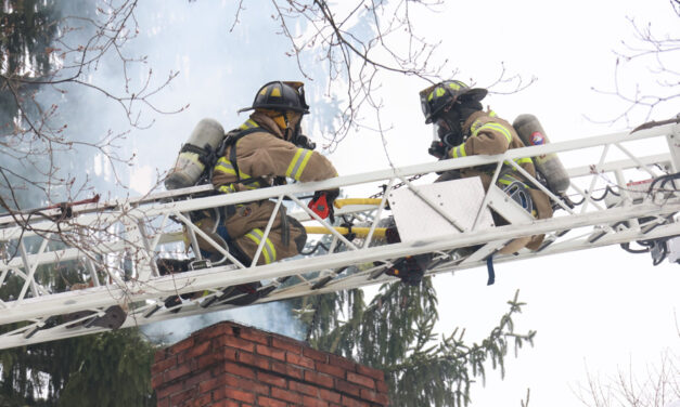Firefighters knock out chimney blaze