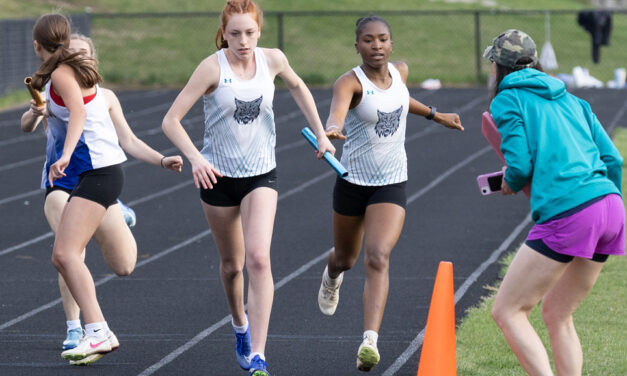 Lakeview sweeps Housy in BL track meet