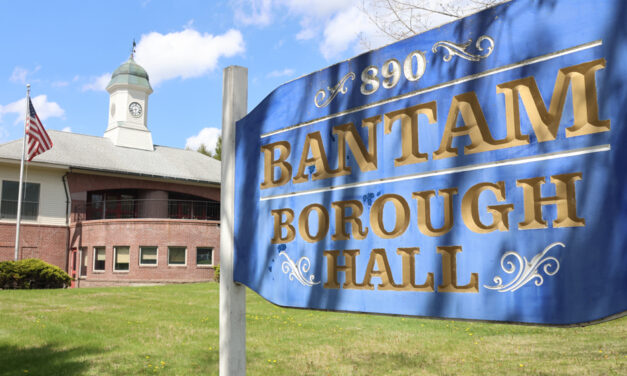 Borough elections to be held on Monday