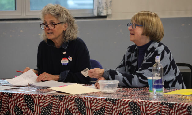 Voters hit the polls for Region 20 referendum