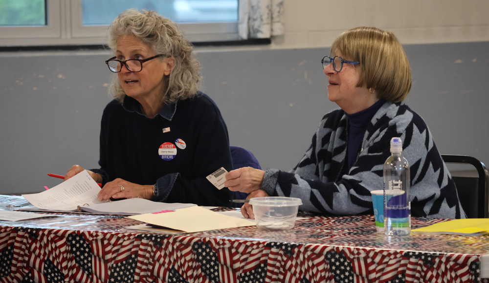 Voters hit the polls for Region 20 referendum