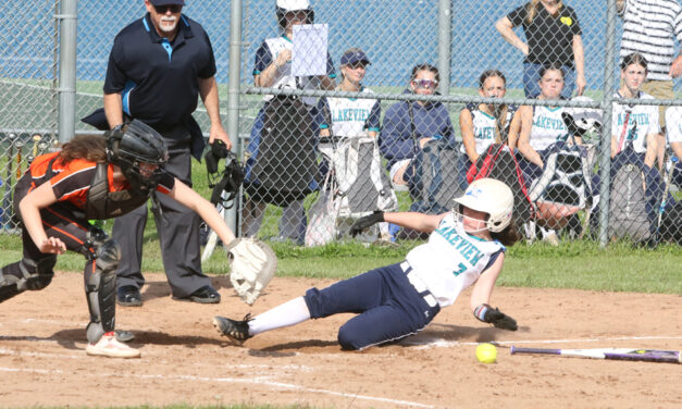 Lakeview eyes softball tournament bid