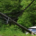 Vehicle takes down pole on Norfolk Road