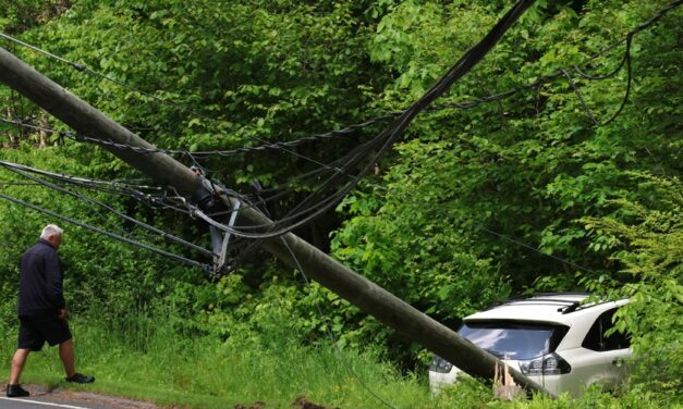Vehicle takes down pole on Norfolk Road