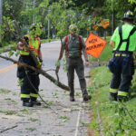 Car grazed by falling tree branch in Bantam