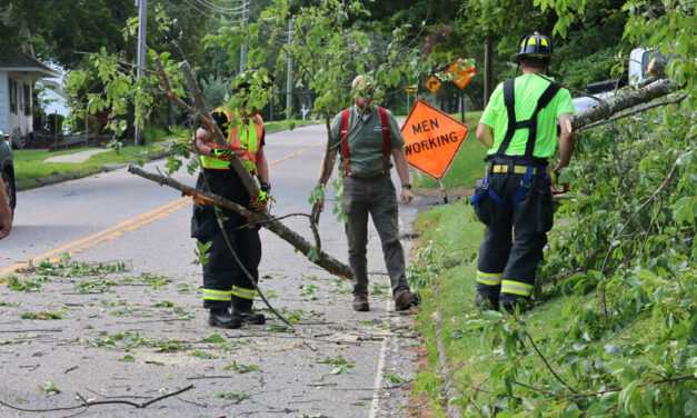 Car grazed by falling tree branch in Bantam