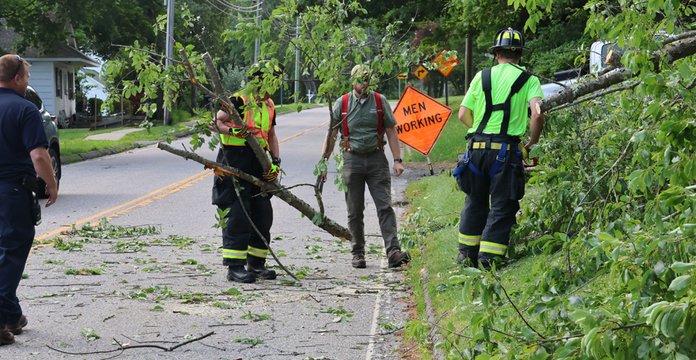 Car grazed by falling tree branch in Bantam