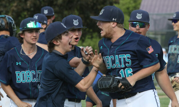Bobcats hang on for Class S tourney win