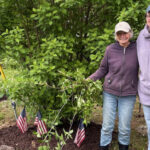Likin’ Litchfield: Road Race Park is ready