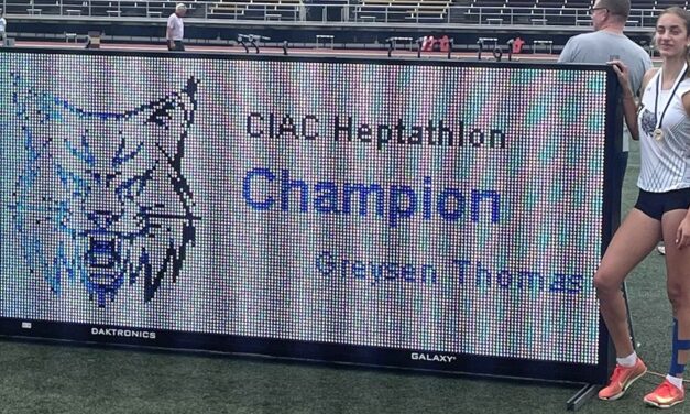 Lakeview freshman state heptathlon champ