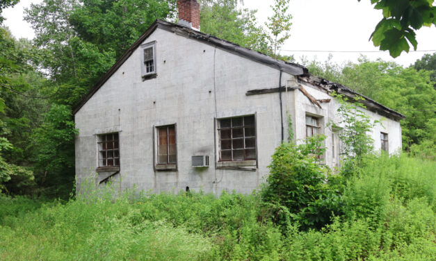 Torrington Road land back in the spotlight