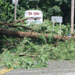 Fallen trees close section of Route 202