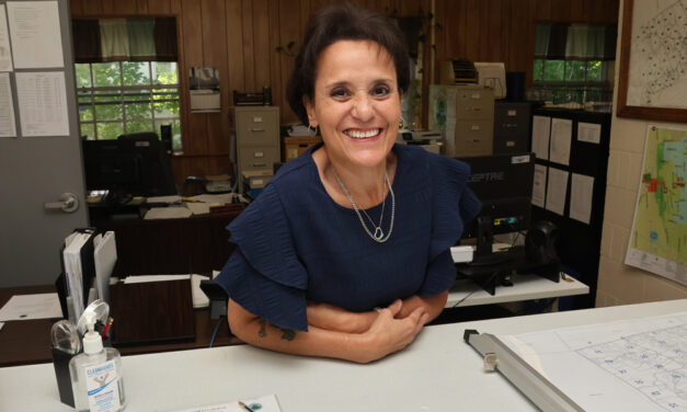 New assessor begins work in Litchfield