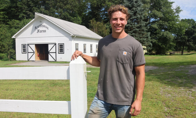 Our Towns: Arethusa Farm looking forward