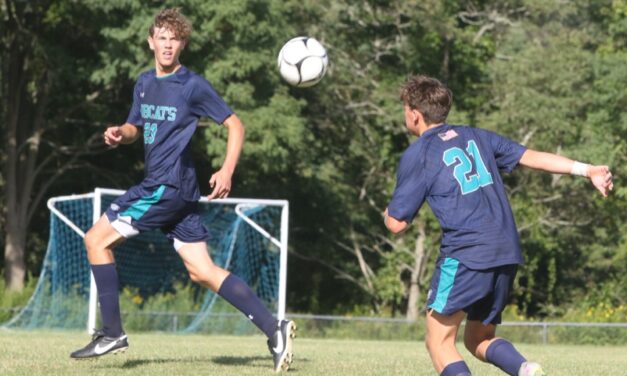 Bobcats are solid in preseason tune up