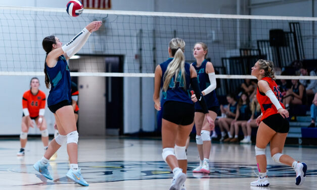 Lakeview on a successful roll in volleyball