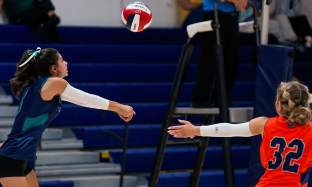 A strong week in volleyball for Lakeview