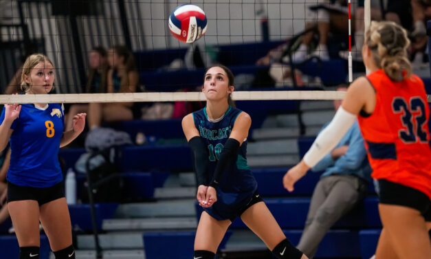 Lakeview v-ball team nets win over Gilbert