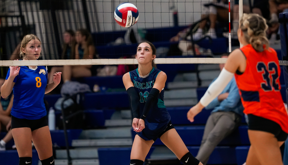 Lakeview v-ball team nets win over Gilbert