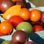 Bantam Farmers Market open through Oct. 31