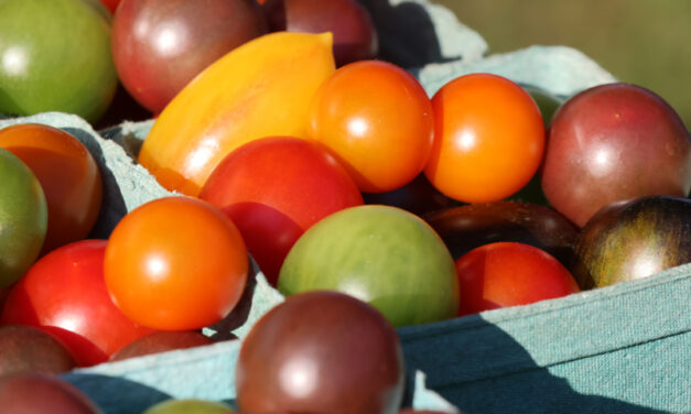 Bantam Farmers Market open through Oct. 31