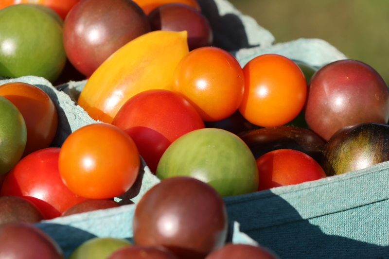 Bantam Farmers Market open through Oct. 31
