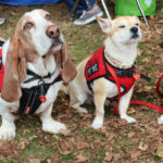 As always, Family Nature Day was a hit