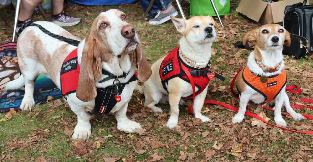 As always, Family Nature Day was a hit