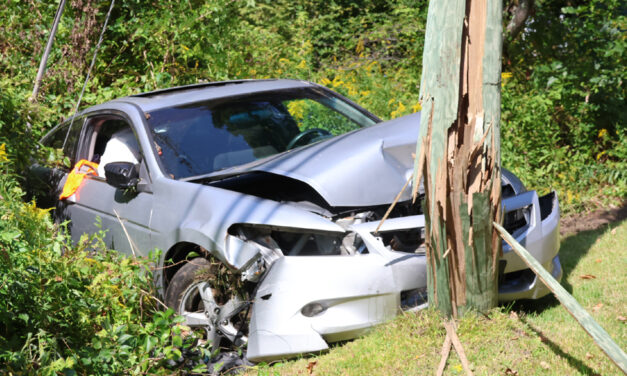 Car slams into pole on Bantam Lake Road