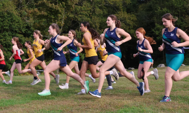 Markavich sets pace for Lakeview in BL wins