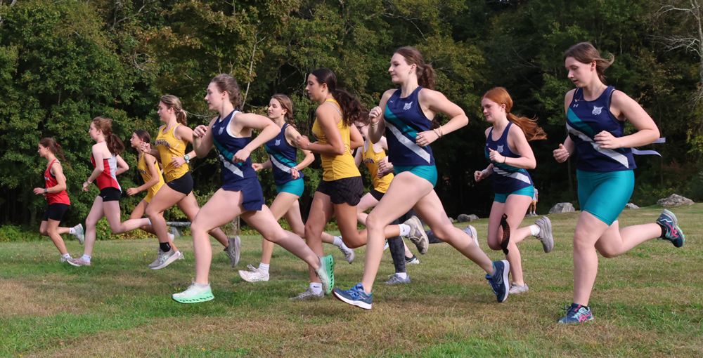Markavich sets pace for Lakeview in BL wins