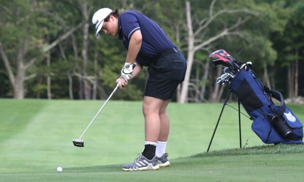 Lakeview golfers suffer close road loss