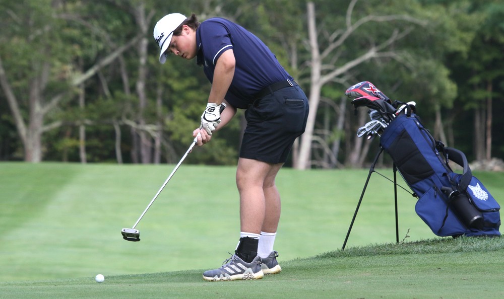 Lakeview golfers suffer close road loss