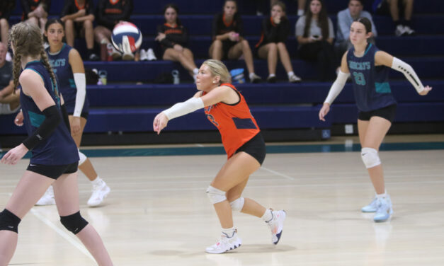 Strong play continues for ‘Cats in BL win