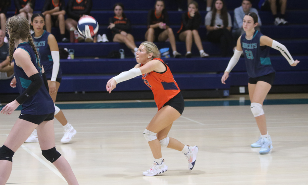 Strong play continues for ‘Cats in BL win