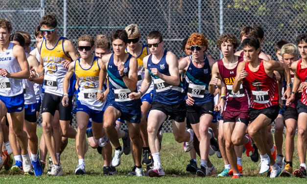 Lakeview runners compete in invitational