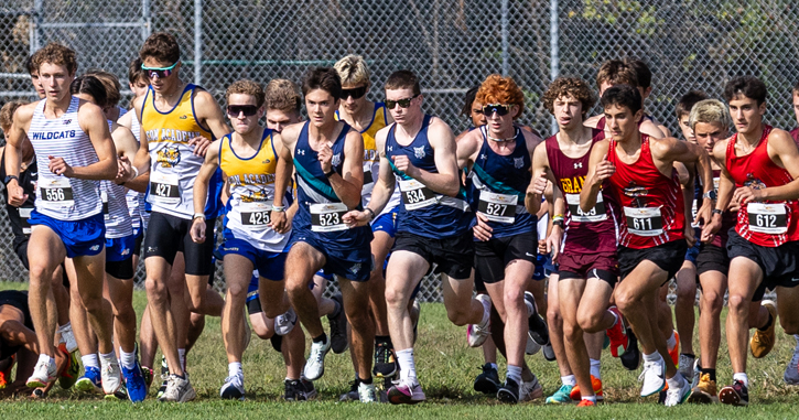 Lakeview runners compete in invitational