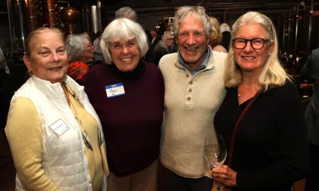 Democrats rally behind their candidates