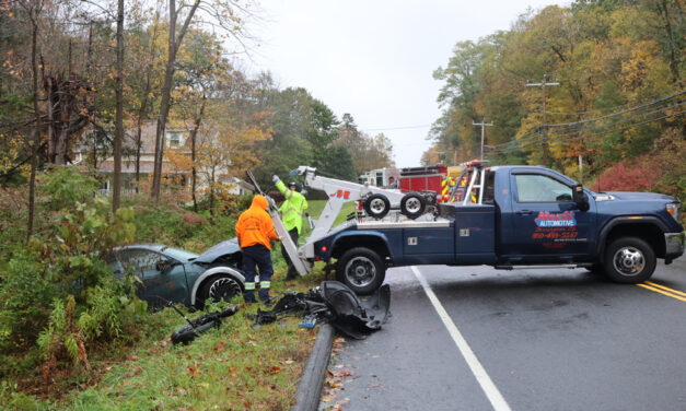 Car leaves Torrington Road and strikes tree