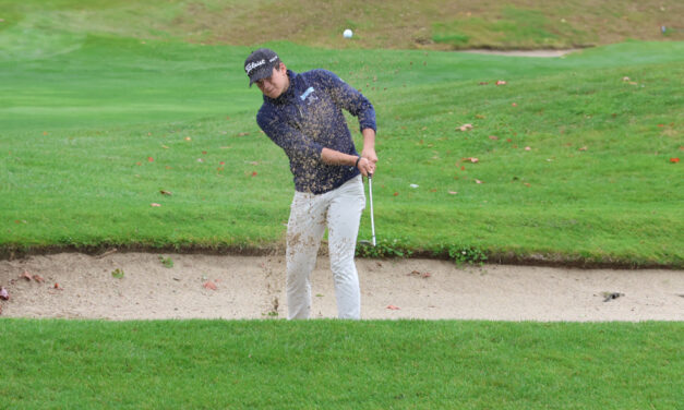 Lakeview’s Blasavage second in BL match