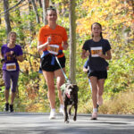 Annual Cider Run draws fast field to Warren