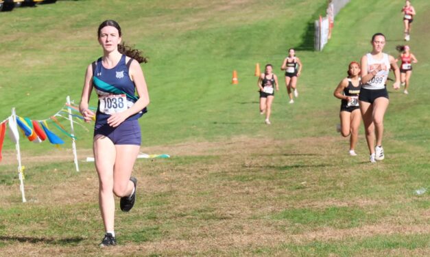 Lakeview girls take on the best in Class M