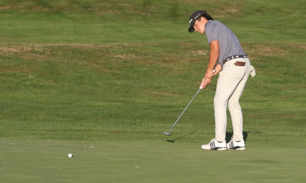 Lakeview golfers are primed for BL match