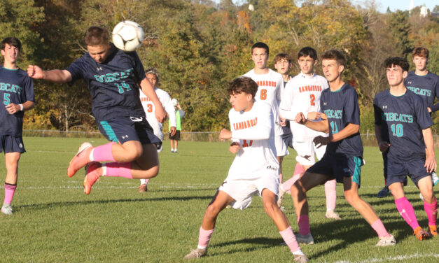 Big win Bobcats were looking for comes