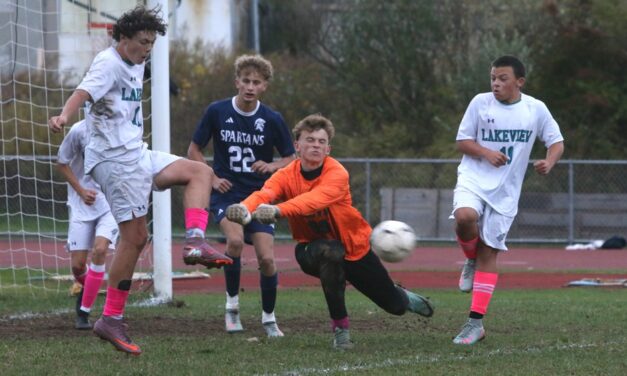 Bobcats to seek redemption in state tourney